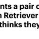 Image for article titled The Best Selectively Capitalized Daily Mail Headlines of 2019